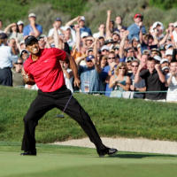 Tiger Woods Earns Premier Recognition from USGA: